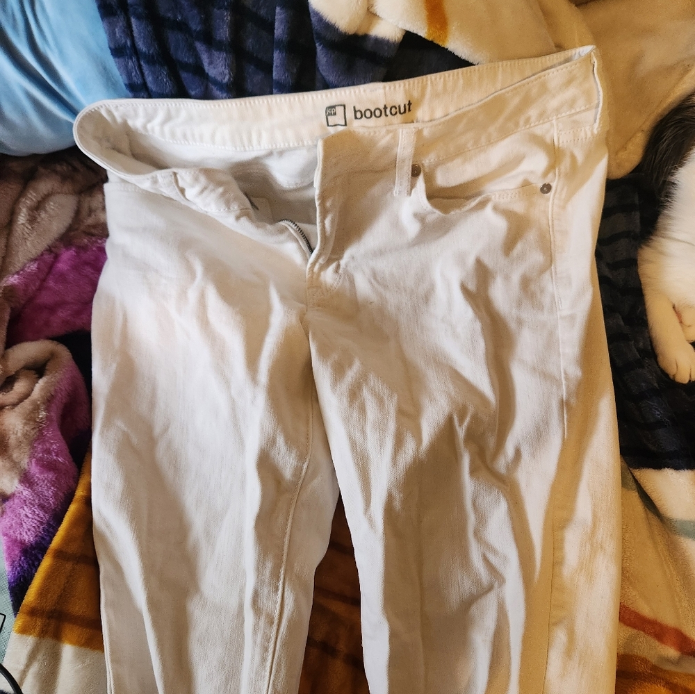 Bootcut JCPenny white pants 31/12